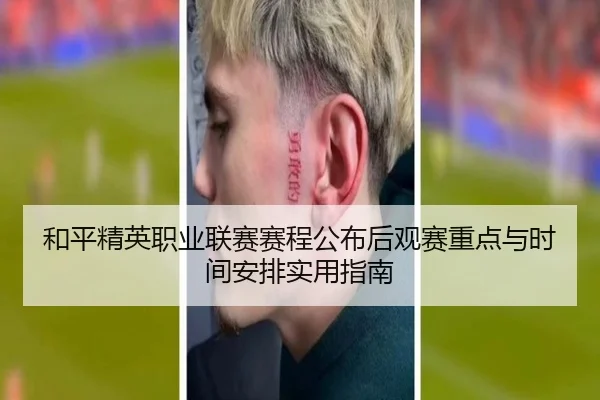 和平精英职业联赛赛程公布后观赛重点与时间安排实用指南