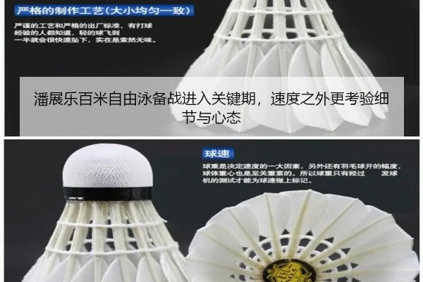 潘展乐百米自由泳备战进入关键期，速度之外更考验细节与心态（Kering）