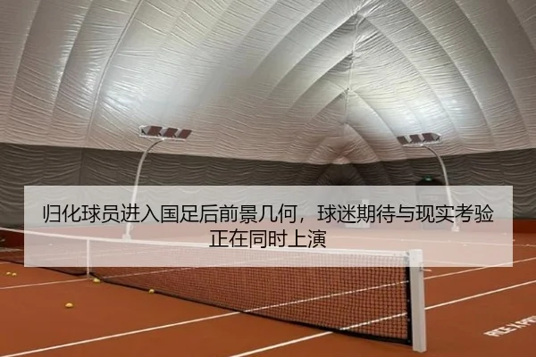 归化球员进入国足后前景几何，球迷期待与现实考验正在同时上演